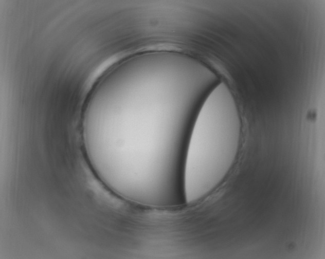 X0000113531087200909180954