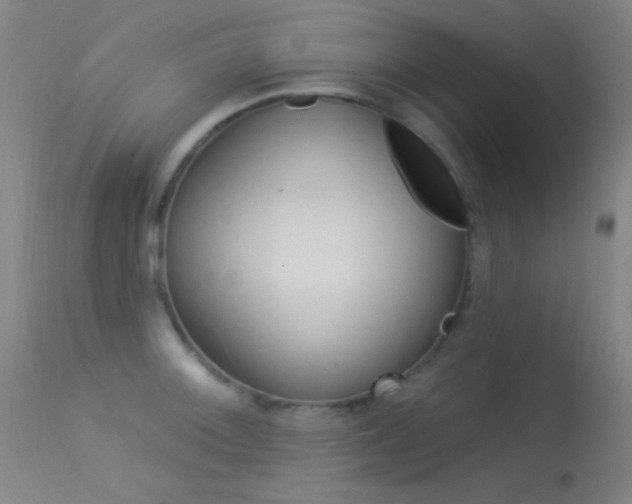 X0000113531092200909180954