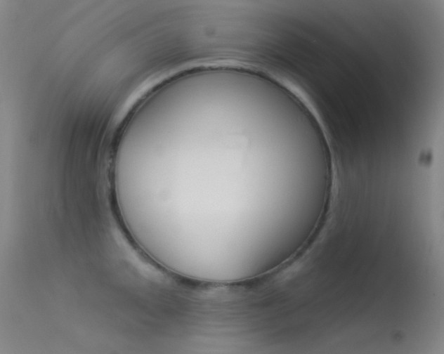 X0000113531093200909180954