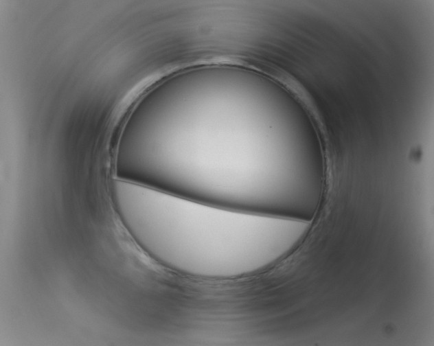 X0000113531096200909180954