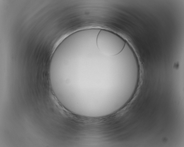 X0000113531097200909180954