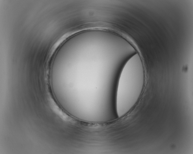 X0000113531099200909180954