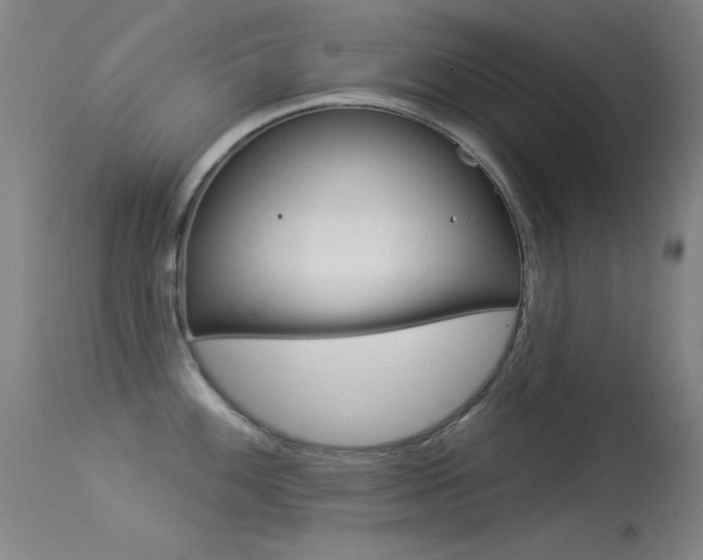 X0000113531100200909180954