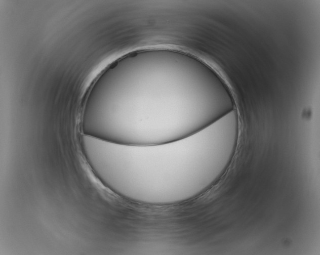 X0000113531101200909180954