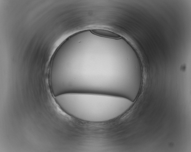 X0000113531102200909180954