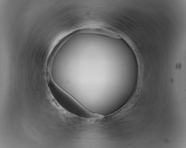 X0000113531104200909180954