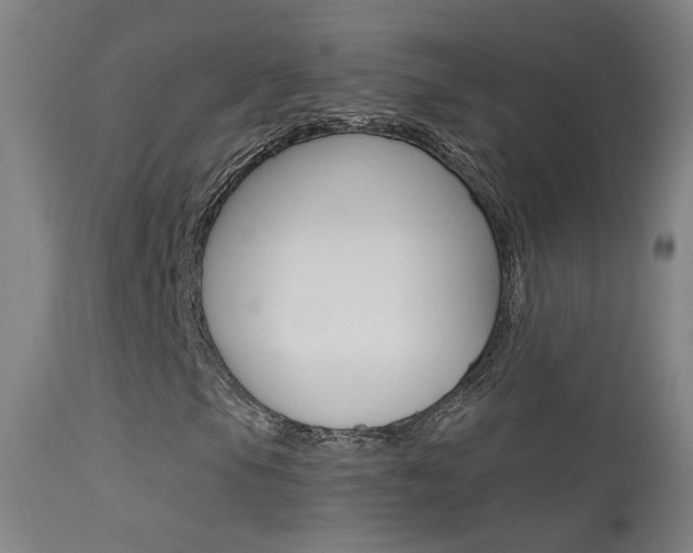X0000113531105200909180953