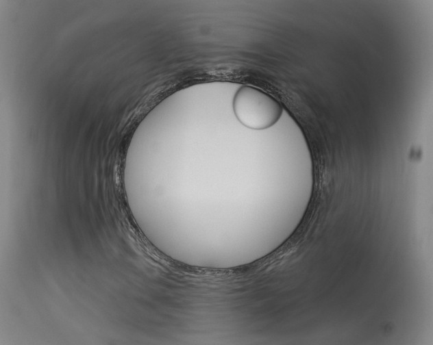 X0000113531106200909180953