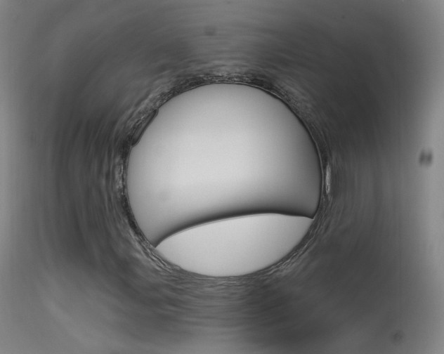 X0000113531107200909180953