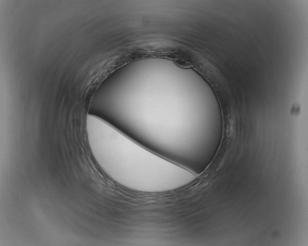 X0000113531108200909180953