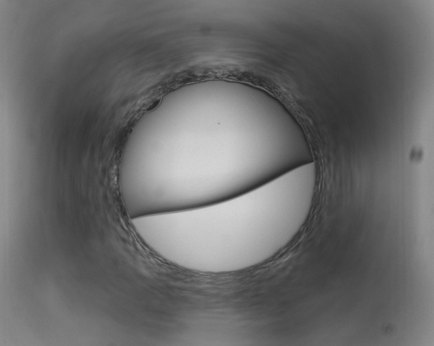 X0000113531109200909180953