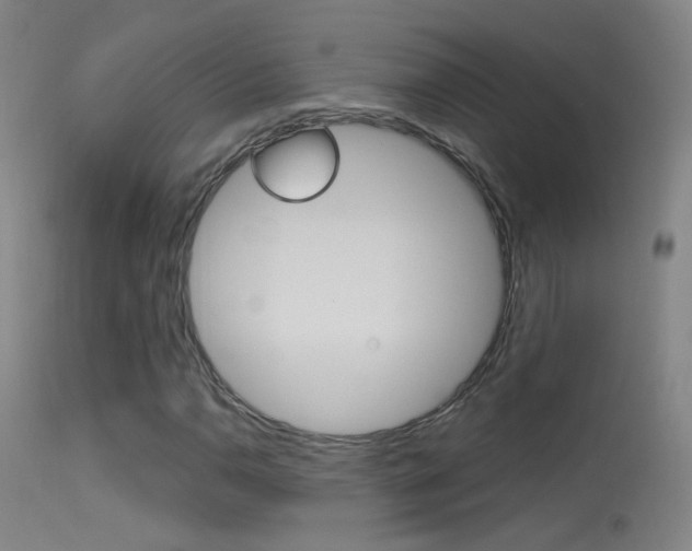 X0000113531110200909180953