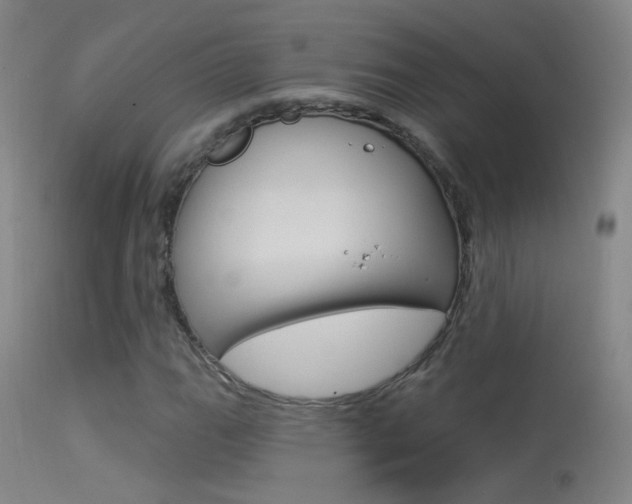 X0000113531111200909180953