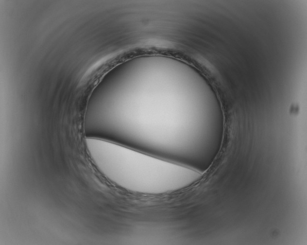 X0000113531112200909180953