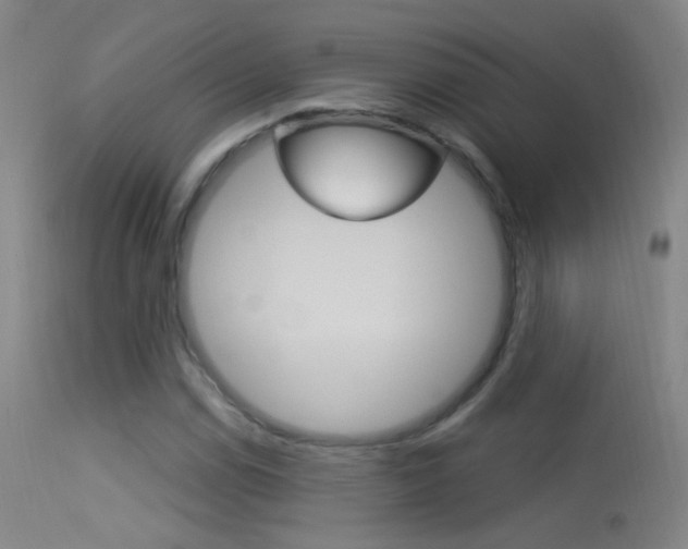 X0000113531114200909180953