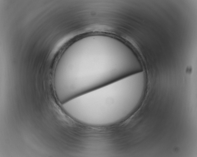 X0000113531115200909180953