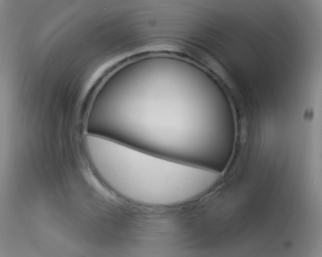 X0000113531116200909180953