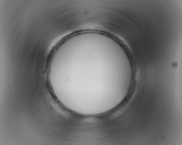 X0000113531117200909180953