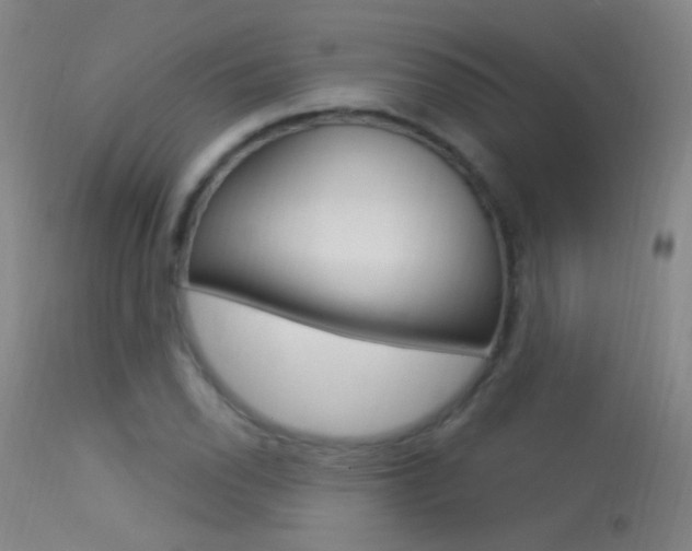 X0000113531118200909180953