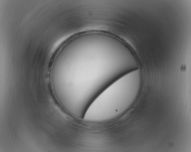 X0000113531119200909180953