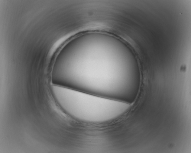 X0000113531120200909180953