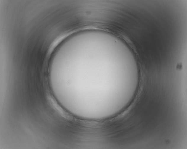 X0000113531122200909180953