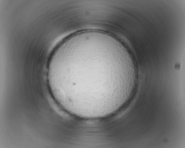 X0000113531125200909180953