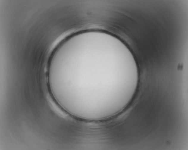 X0000113531126200909180953