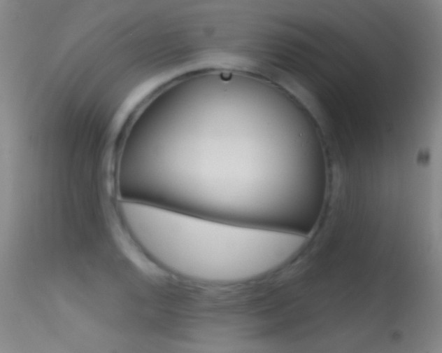 X0000113531128200909180954