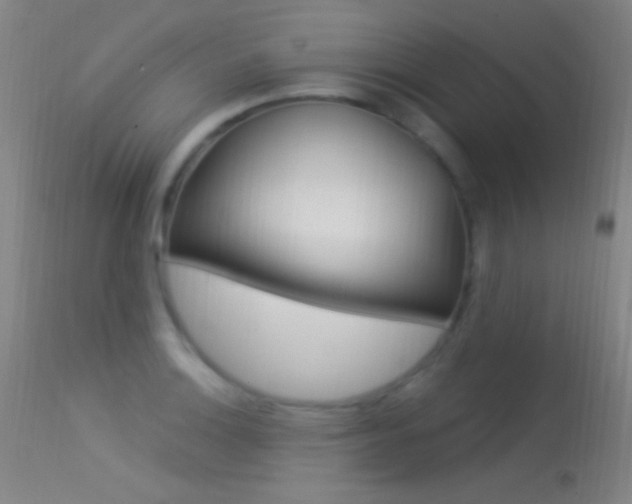 X0000113531132200909180954