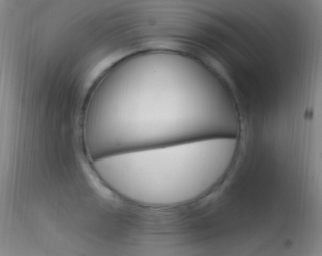 X0000113531133200909180954