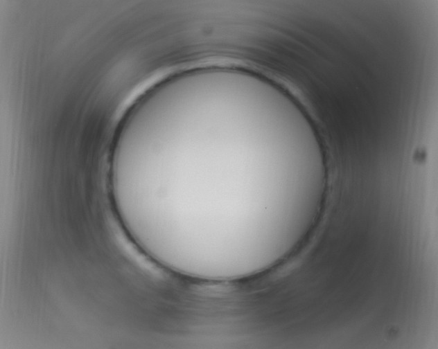 X0000113531134200909180954