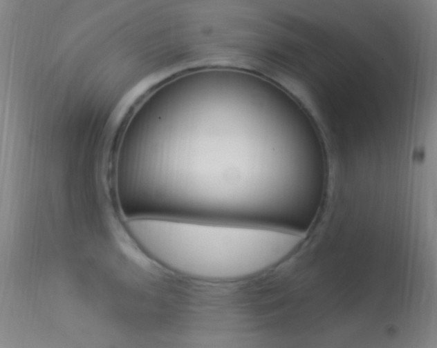 X0000113531136200909180954