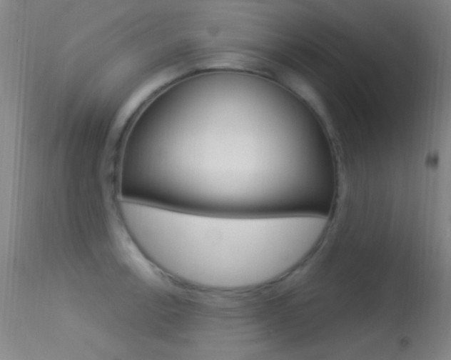 X0000113531138200909180954