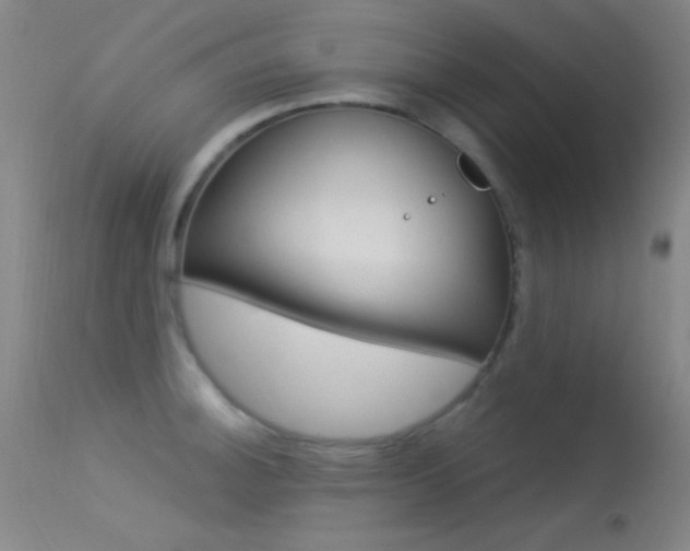X0000113531140200909180954