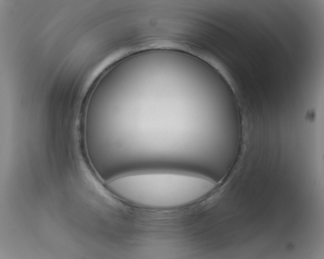 X0000113531142200909180954