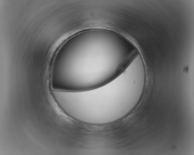 X0000113531144200909180954