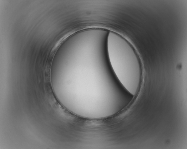 X0000113531145200909180954