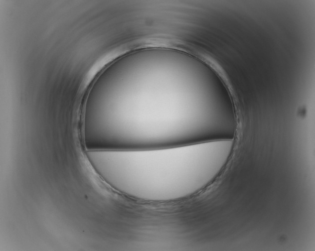X0000113531146200909180954