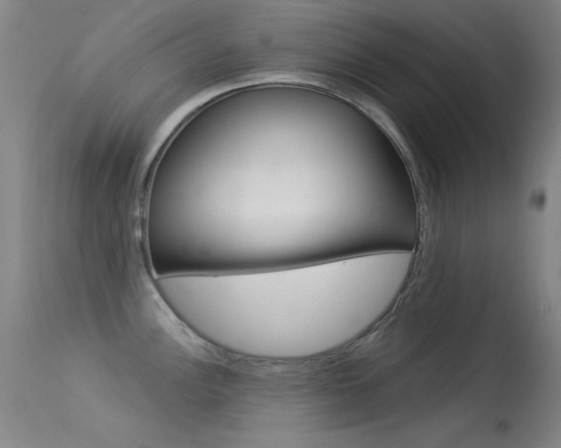 X0000113531148200909180954