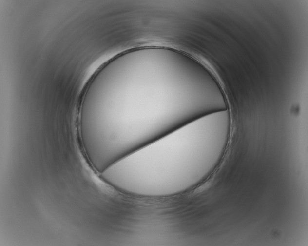 X0000113531149200909180954