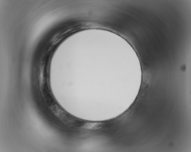 X0000113531150200909180954