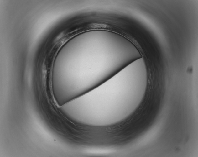X0000113531151200909180954