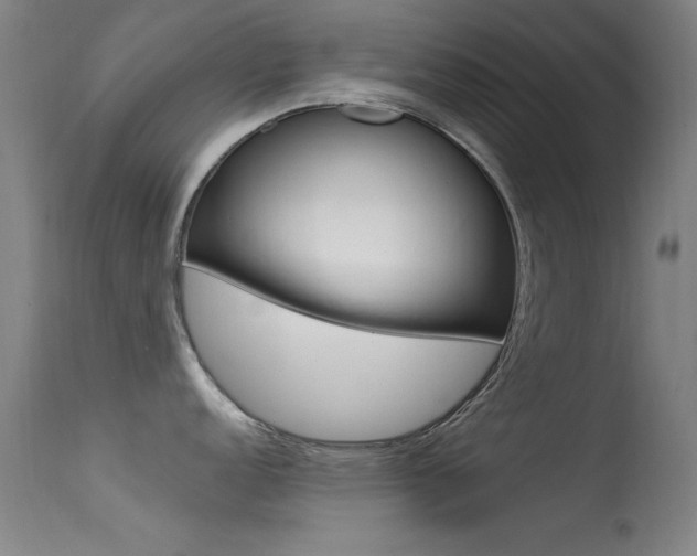 X0000113531152200909180954