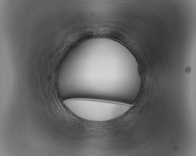 X0000113531153200909180953