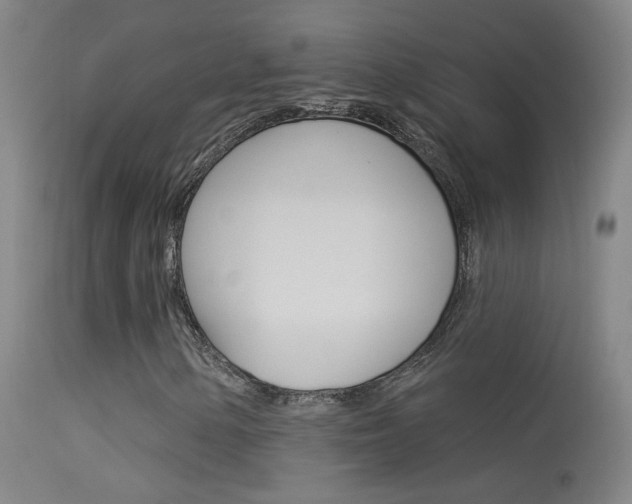 X0000113531154200909180953