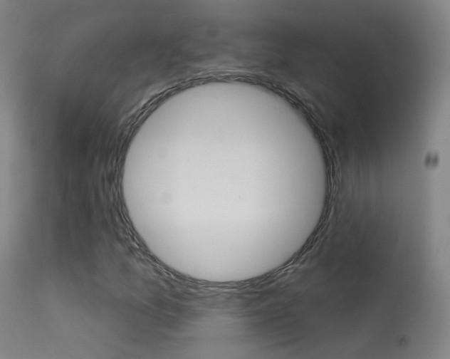 X0000113531157200909180953