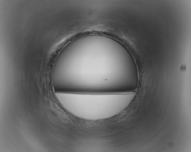 X0000113531159200909180953