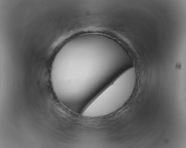 X0000113531160200909180953