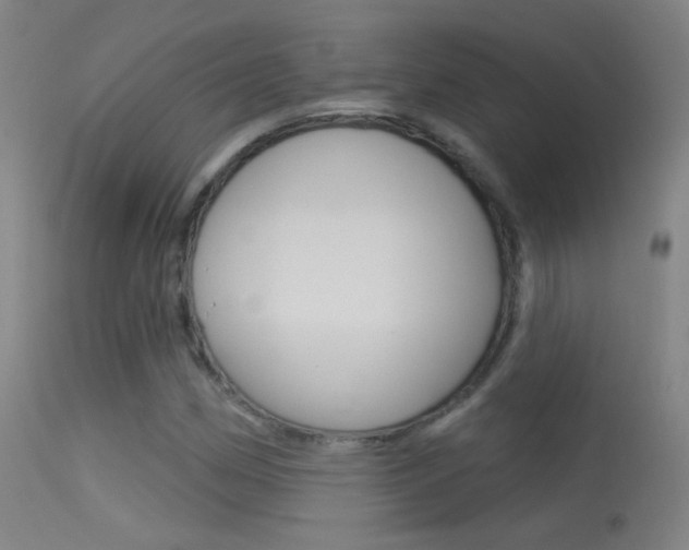 X0000113531162200909180953